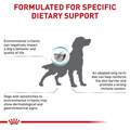 Royal Canin Veterinary Diet Skintopic Medium and Large Dog Adult Dry Food