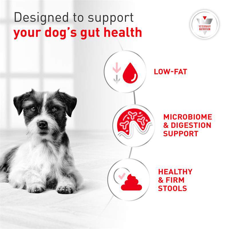Royal Canin Gastrointestinal Low Fat Fresh Frozen Dog Food, 6.2 lb bag with 7 x 14.1 oz pouches