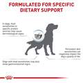 Royal Canin Veterinary Diet Adult Ultamino Dry Dog Food