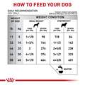 Royal Canin Veterinary Diet Adult Multifunction Urinary SO + Hydrolyzed Protein Dry Dog Food