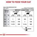 Royal Canin Veterinary Diet Selected Protein Pea & Duck Formula Adult Canned Cat Food, 24 x 5.1 oz cans