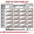 Royal Canin Veterinary Diet Adult Gastrointestinal Loaf in Sauce Canned Cat Food, 24 x 5.1 oz cans