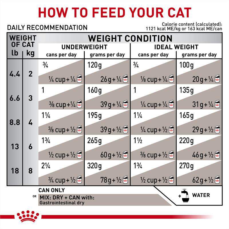 Royal Canin Veterinary Diet Adult Gastrointestinal Loaf in Sauce Canned Cat Food, 24 x 5.1 oz cans