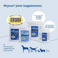 PhyCox Soft Chews