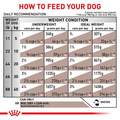 Royal Canin Veterinary Diet Adult Gastrointestinal Loaf Canned Dog Food, 24 x 13.5 oz cans