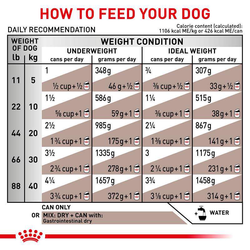 Royal Canin Veterinary Diet Adult Gastrointestinal Loaf Canned Dog Food, 24 x 13.5 oz cans