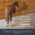 Surpass Equine