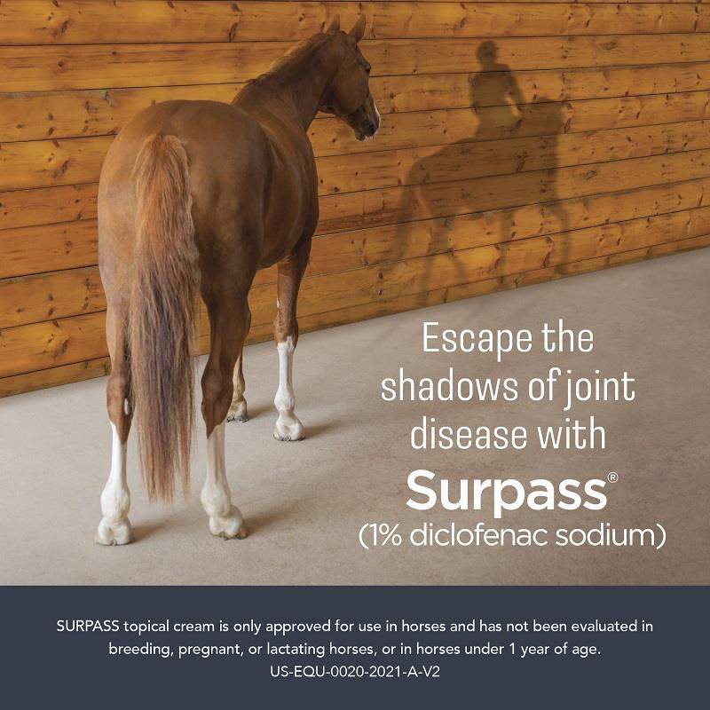 Surpass Equine