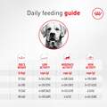 Royal Canin Breed Health Nutrition Golden Retriever Adult Dry Dog Food