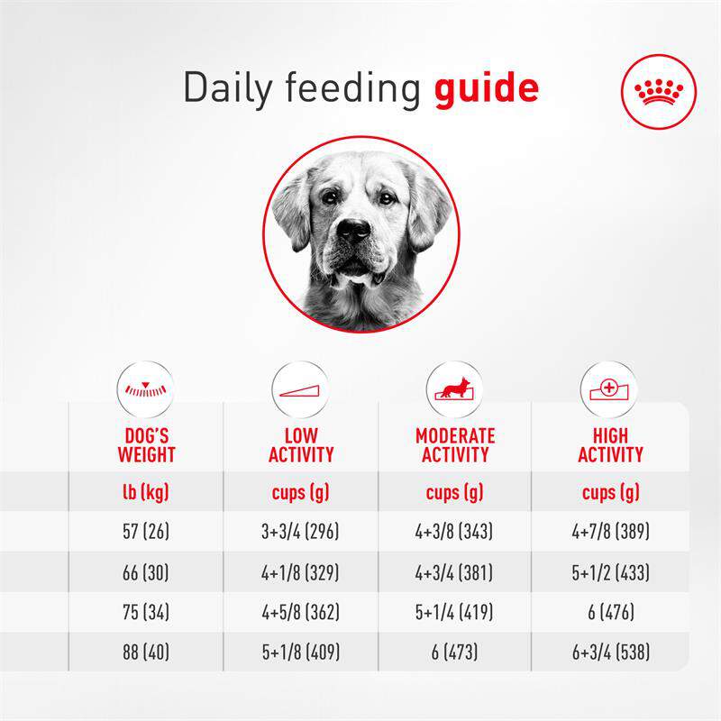 Royal Canin Breed Health Nutrition Golden Retriever Adult Dry Dog Food