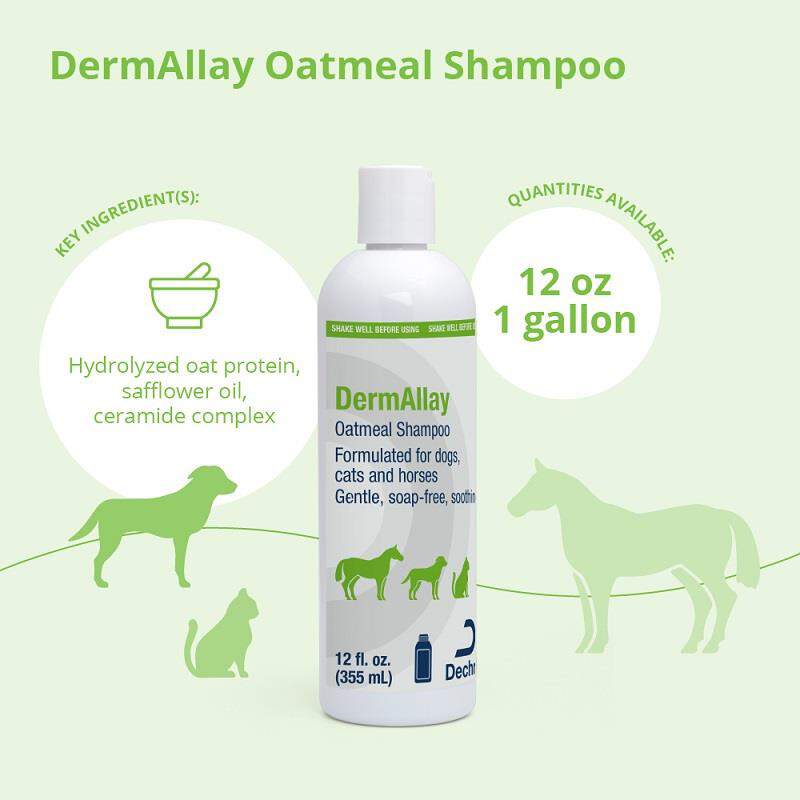 DermAllay Oatmeal Shampoo