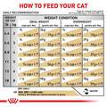 Royal Canin Veterinary Diet Adult Urinary SO Moderate Calorie Dry Cat Food