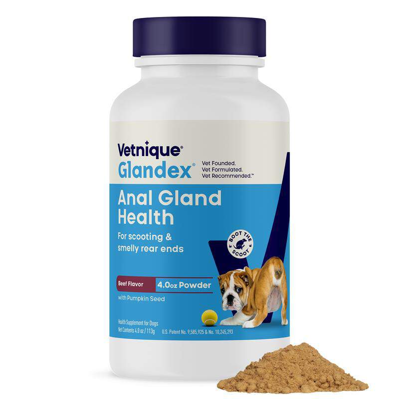 Glandex Anal Gland Support Powder for Dogs and Cats