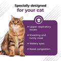 VetriScience Lysine Complete Immune Support Powder for Cats, 60 Servings