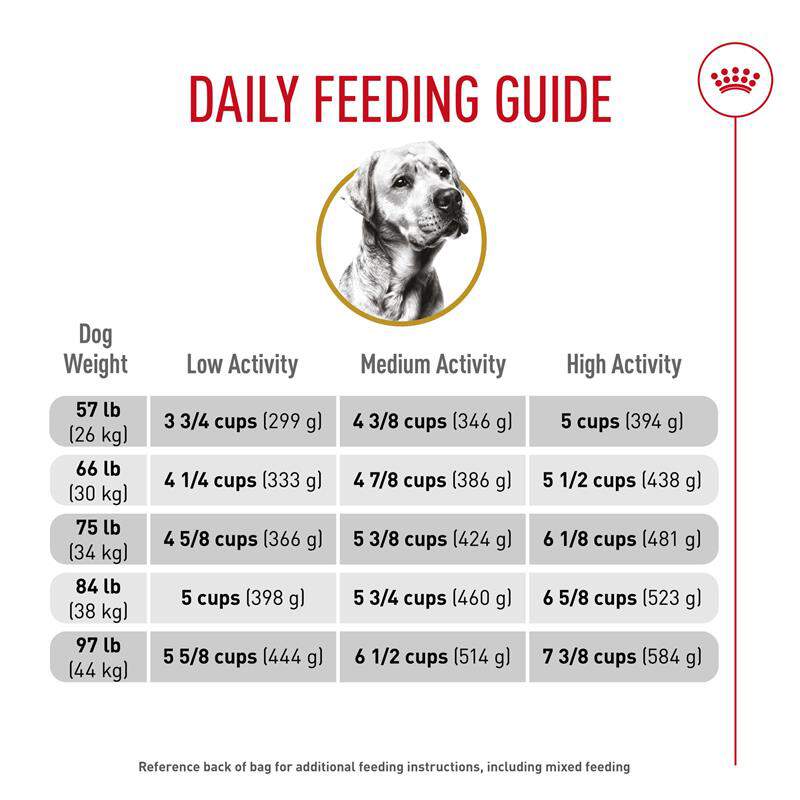 Royal Canin Breed Health Nutrition Labrador Retriever Adult Dry Dog Food