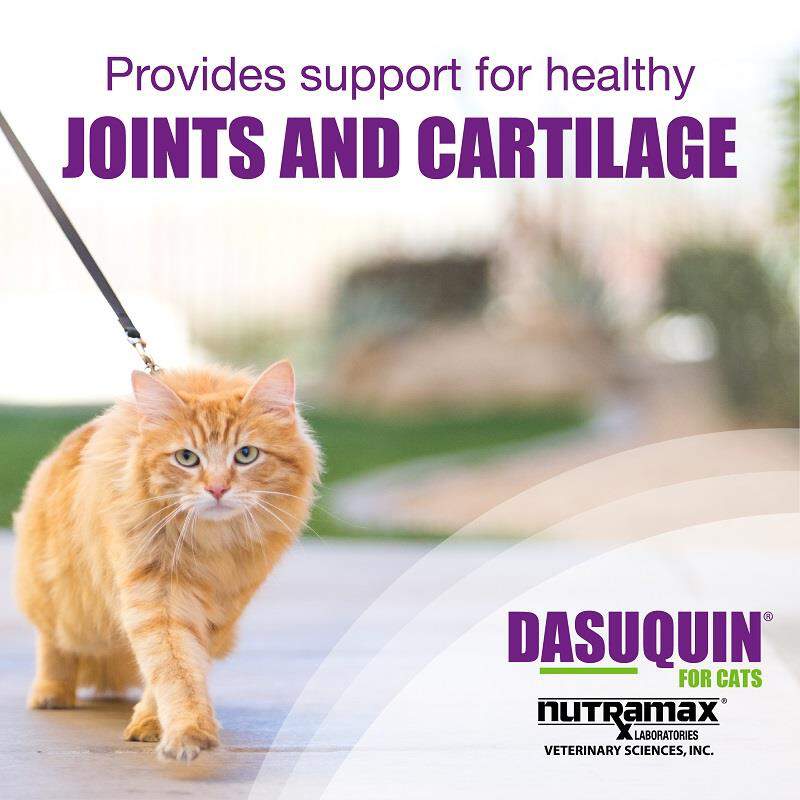 Nutramax Dasuquin for Cats for Joint Health, 84 Capsules
