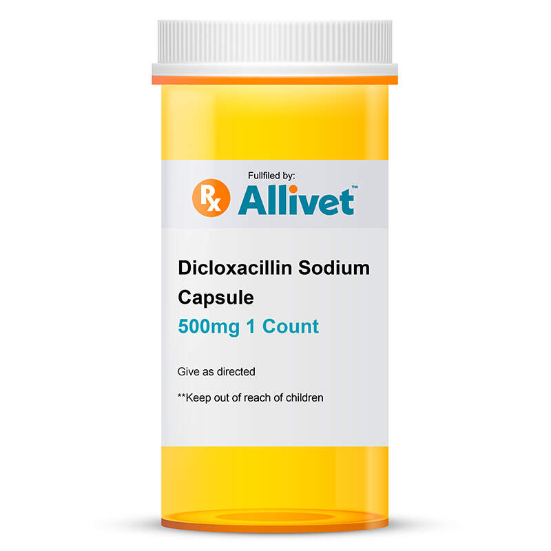 Dicloxacillin Sodium Capsule, 500 mg 1 Count