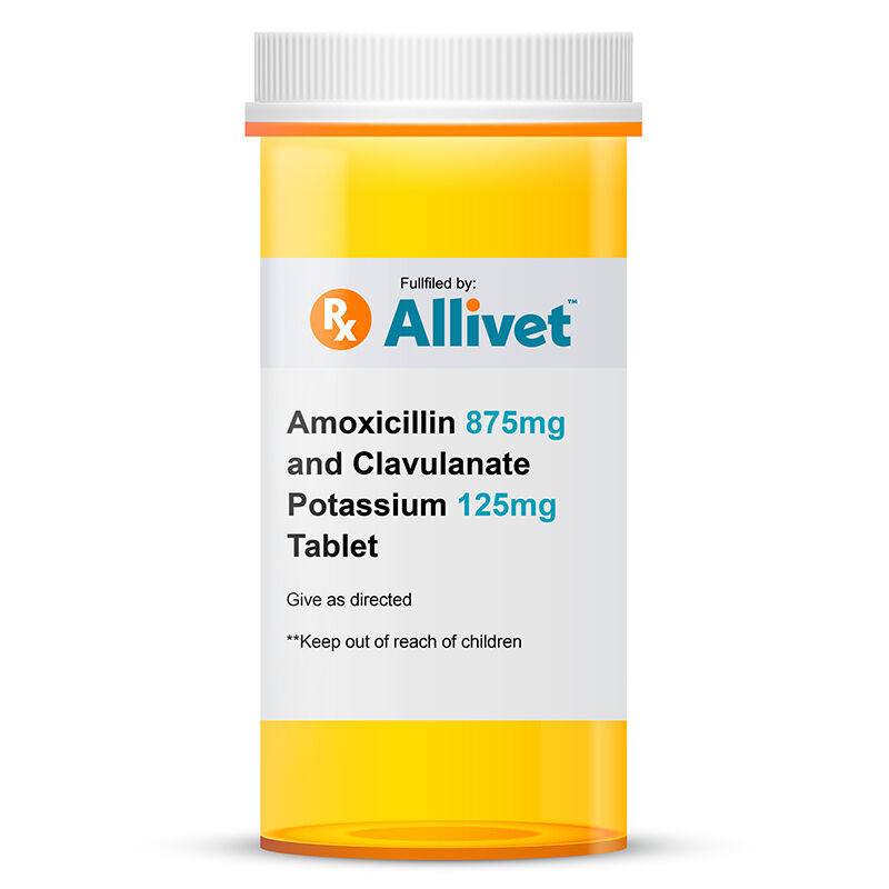 Amoxicillin 875 mg and Clavulanate Potassium 125 mg Tablet