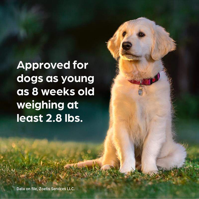 Simparica Trio Chewable Tablets for Dogs 44.1-88 lbs Green, 6 Month Supply