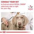 Royal Canin Veterinary Diet Adult Multifunction Urinary SO + Satiety Loaf in Sauce Canned Dog Food, 24 x 13.5 oz cans