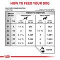 Royal Canin Veterinary Diet Adult Renal Support D Thin Slices in Gravy Canned Dog Food, 24 x 13 oz cans