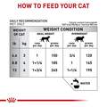 Royal Canin Veterinary Diet Selected Protein Pea & Rabbit Formula Loaf in Sauce Adult Canned Cat Food, 24 x 5.1 oz cans