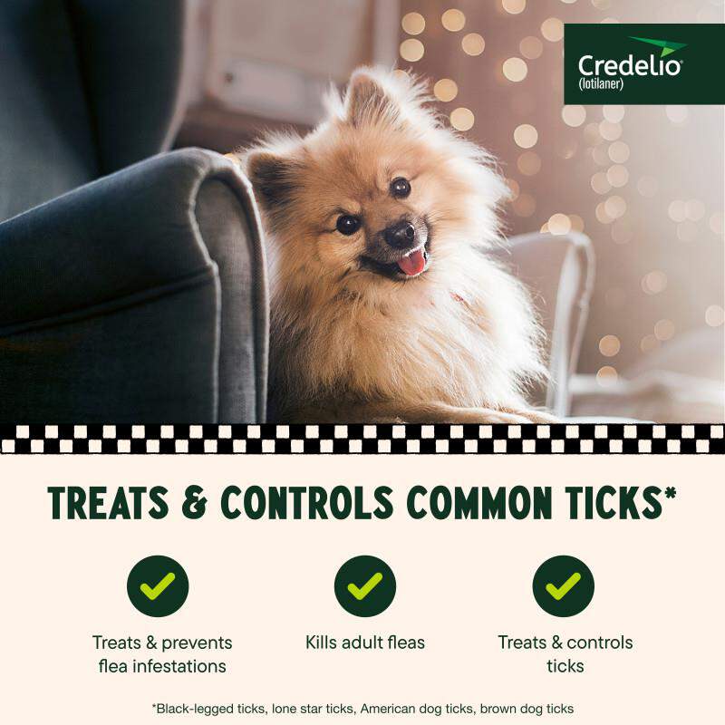 Credelio Flea & Tick Chewable Tablets for Dogs & Puppies
