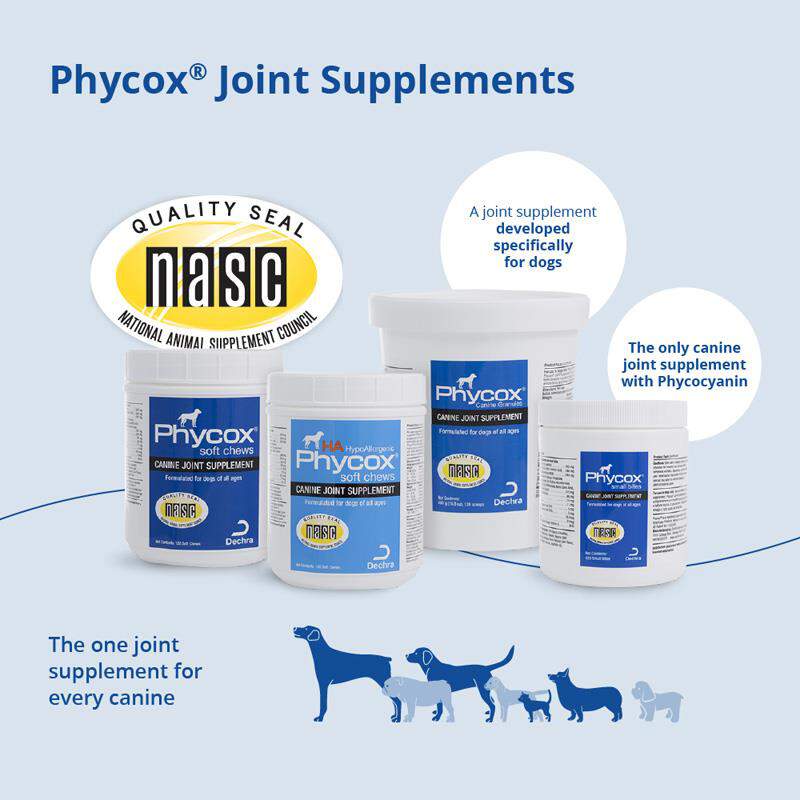 Phycox HA Soft Chews