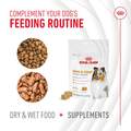 Royal Canin Adult Skin & Coat Chewable Supplements for Dogs, 60 Soft Chews
