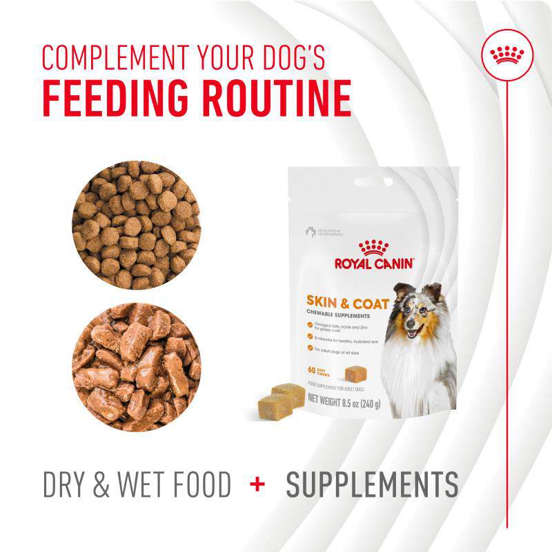 Royal Canin Adult Skin & Coat Chewable Supplements for Dogs, 60 Soft Chews