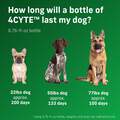 4CYTE Epiitalis Forte Gel Joint Supplement for Dogs