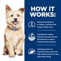 Hill's Prescription Diet k/d Kidney Care Chicken & Vegetable Stew Canned Dog Food, 12 x 12.5 oz cans
