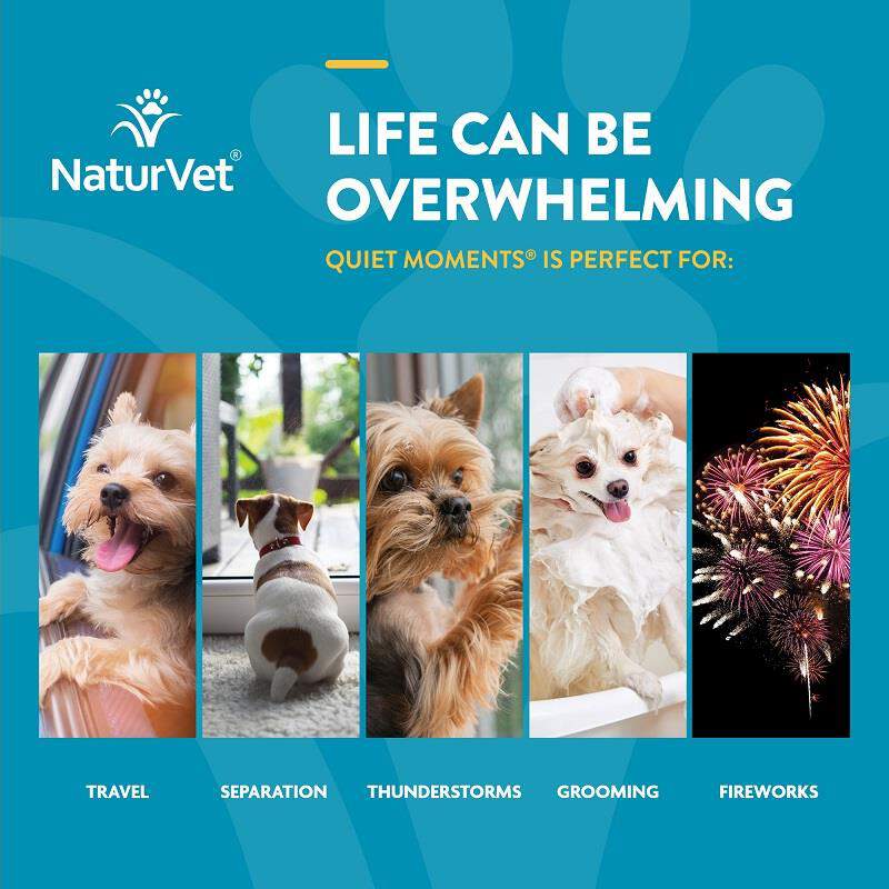 NaturVet Quiet Moments Calming Aid Plus Melatonin Soft Chews for Dogs