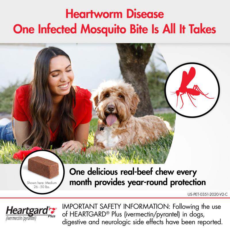 Heartgard Plus Chewables for Dogs