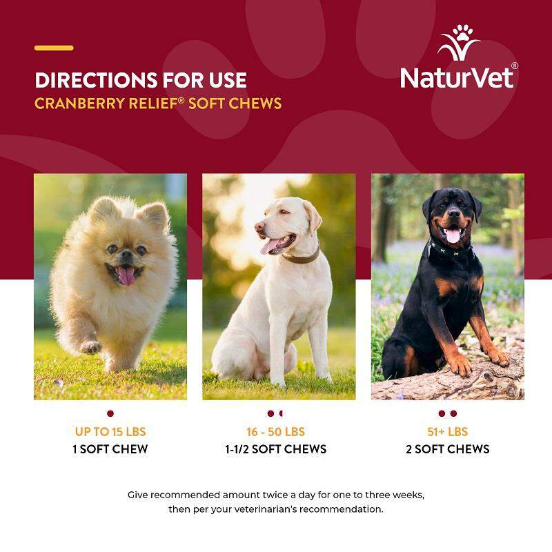 NaturVet Cranberry Relief Healthy Urinary Tract Plus Echinacea Soft Chews for Dogs