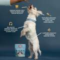 The Missing Link Smartmouth Original Dental Chews for Petite/Extra Small Dogs 5-15 lbs, 28 Ct.
