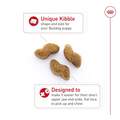 Royal Canin Breed Health Nutrition Bulldog Puppy Dry Dog Food
