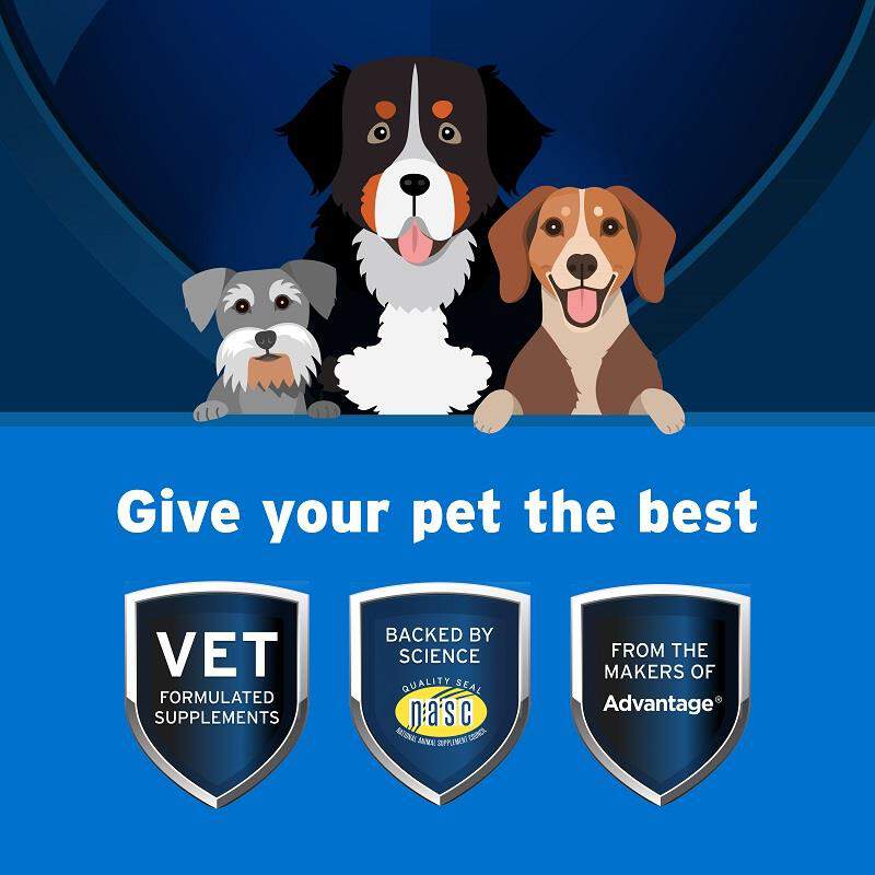 Pet Protect MultiVitamin DVM Soft Chews for Dogs