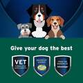 Pet Protect Probiotic Balance + Endurosyn Oral Gel for Dogs, 32 g