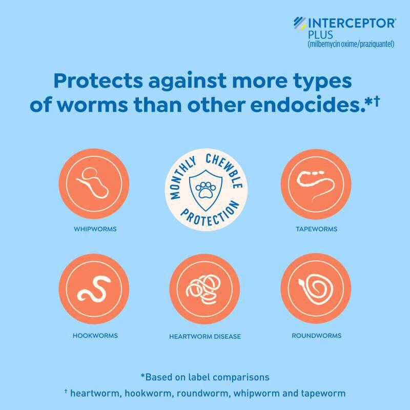 Interceptor Plus Chewable Tablets for Dogs