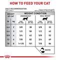 Royal Canin Veterinary Diet Adult Multifunction Gastrointestinal Hydrolyzed Protein Dry Cat Food