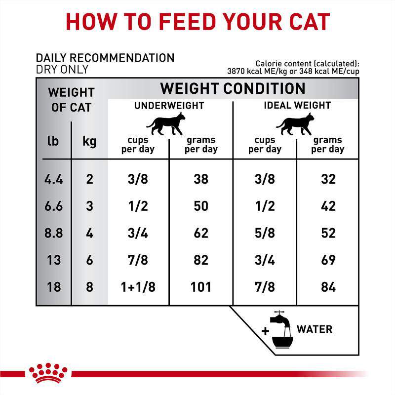 Royal Canin Veterinary Diet Adult Multifunction Gastrointestinal Hydrolyzed Protein Dry Cat Food