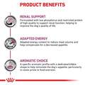 Royal Canin Veterinary Diet Adult Renal Support S Dry Dog Food