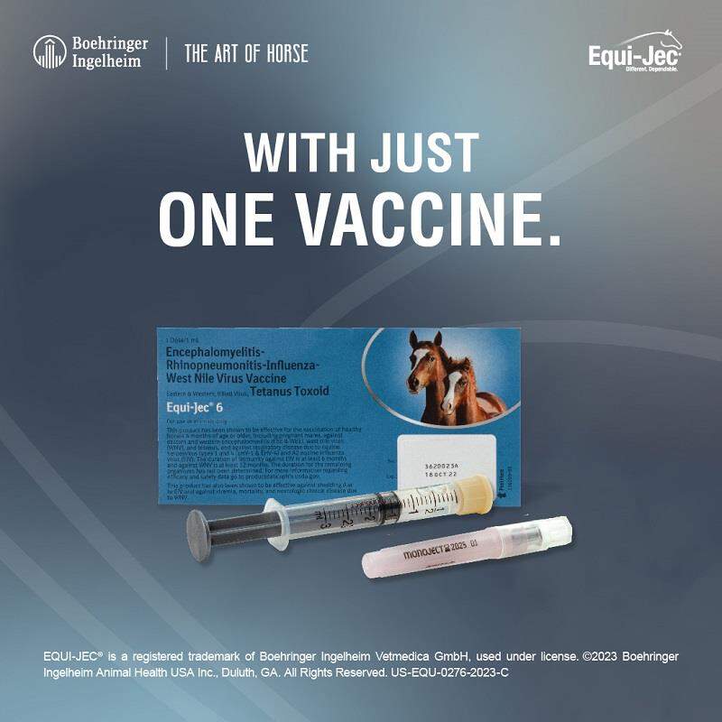 Equi-Jec 6 Vaccine for Horses, 1 pre-filled syringe