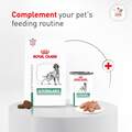 Royal Canin Veterinary Diet Adult Glycobalance Loaf in Sauce Canned Dog Food, 13.4 oz cans
