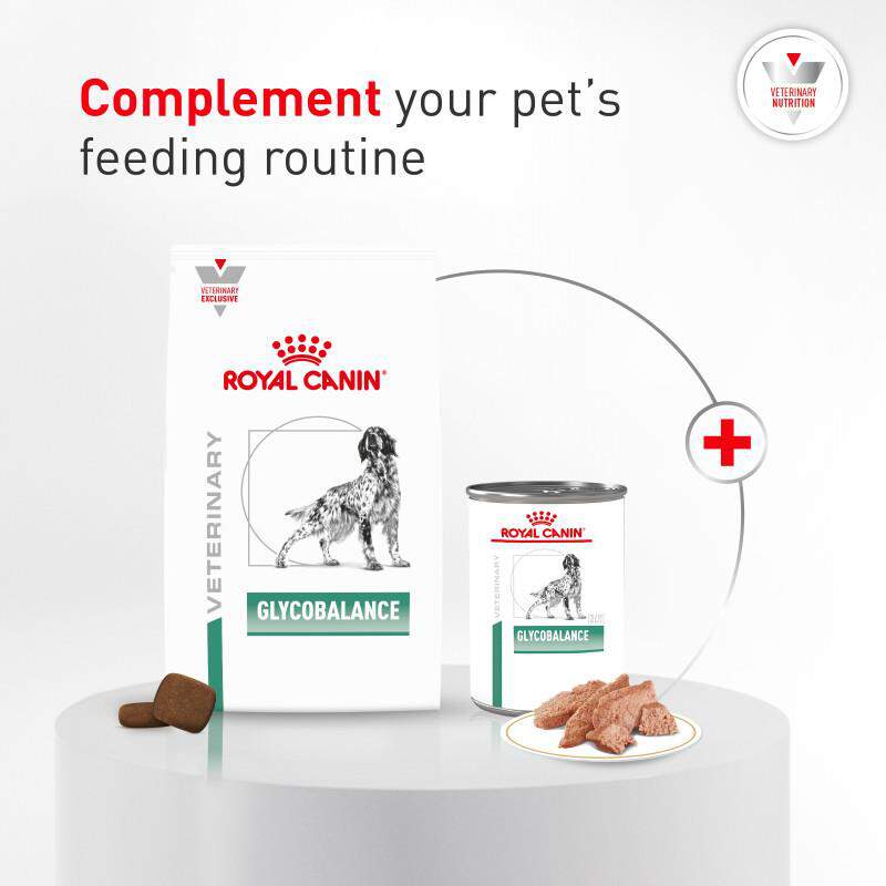 Royal Canin Veterinary Diet Adult Glycobalance Loaf in Sauce Canned Dog Food, 13.4 oz cans