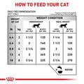 Royal Canin Veterinary Diet Adult Renal Support D Thin Slices in Gravy Canned Cat Food, 3 oz cans