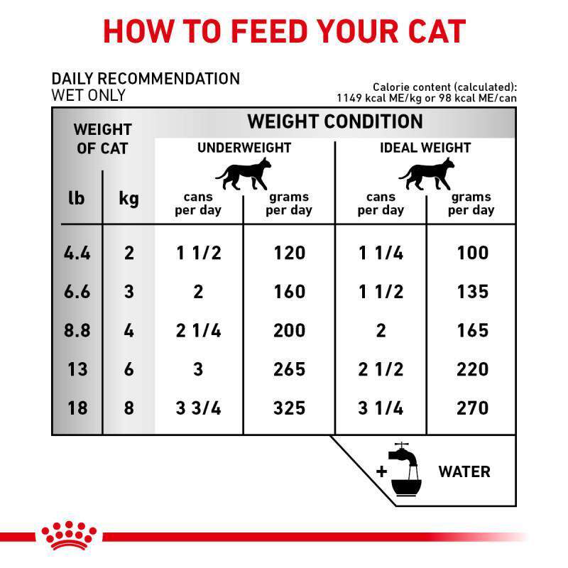 Royal Canin Veterinary Diet Adult Renal Support D Thin Slices in Gravy Canned Cat Food, 3 oz cans