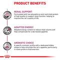 Royal Canin Veterinary Diet Adult Renal Support S Dry Cat Food