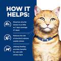 Hill's Prescription Diet c/d Multicare Urinary Care with Chicken Dry Cat Food, 17.6 lbs